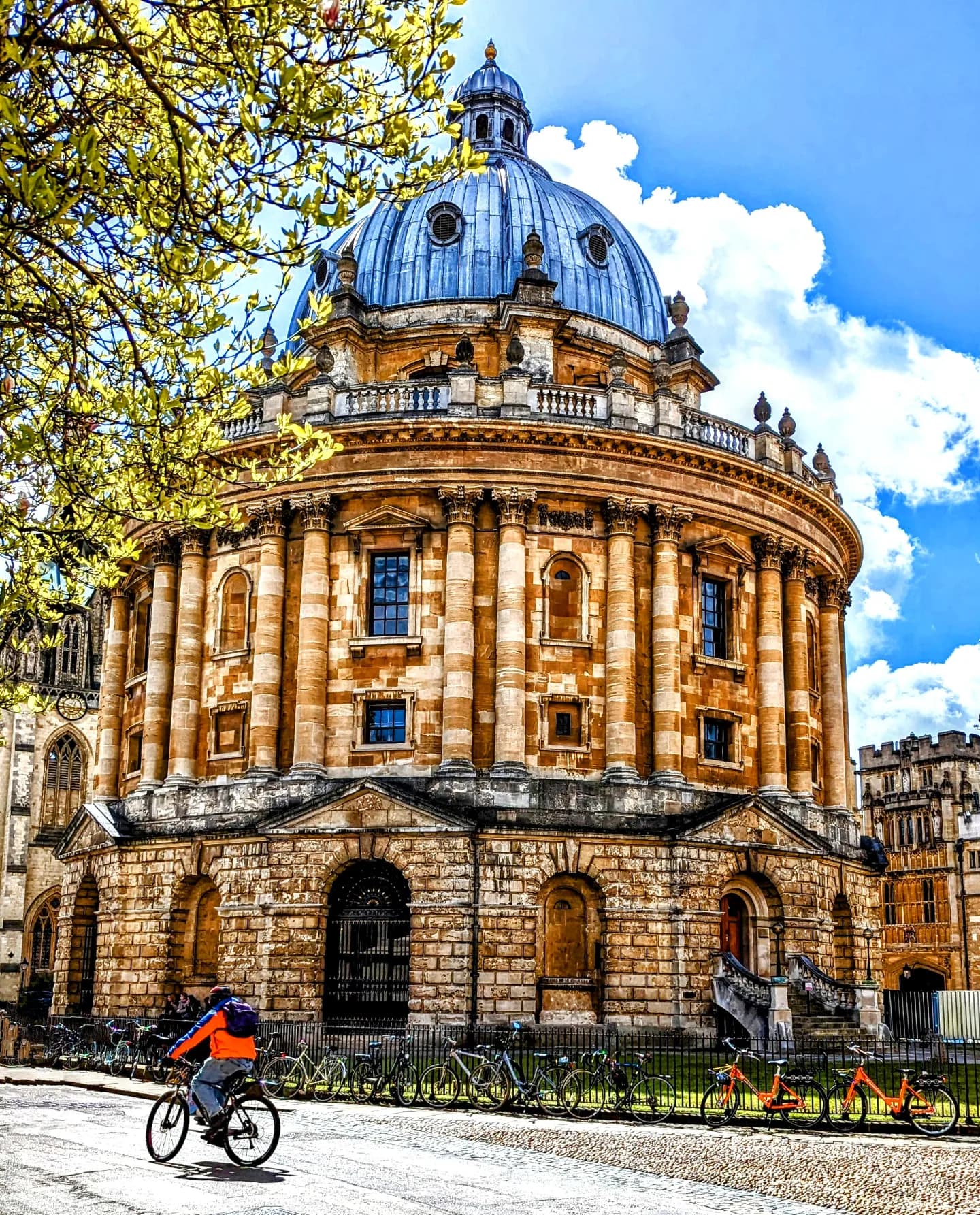 A cyclist passing the Radcliffe Camera in Oxford