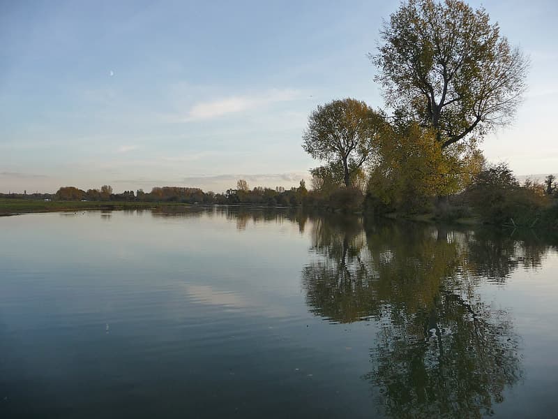 The River Thames beside Port Meadow with trees reflected in the water